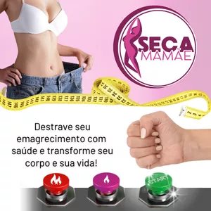 Imagem de capa para o Curso online Seca Mamãe