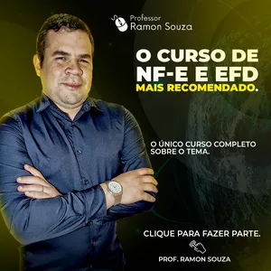 Curso Curso de NF-e e EFD para Concursos Fiscais