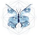 Astro Butterfly logo