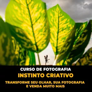 Imagem de capa para o Curso online Curso Online de fotografia Instinto Criativo