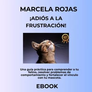 Imagen de portada para Curso online Adiós a la frustración 