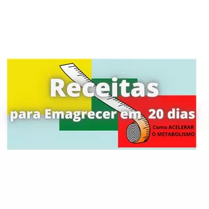 Imagem de capa para o Ebook Receitas para Emagrecer em  20 dias 4.0