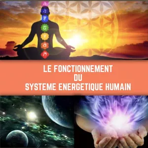 Image de couverture pour le Cours en ligne Le Fonctionnement du système énergétique Humain