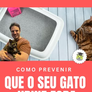 Imagem de capa para o Ebook Como prevenir que o seu gato urine fora da caixa