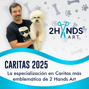 Imagen de portada para Curso online Caritas 2025