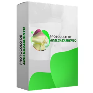 Imagen de portada para Curso online Protocolo de Adelgazamiento