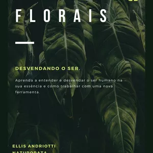 Imagem principal do produto Os Florais, desvendando as dores do ser.