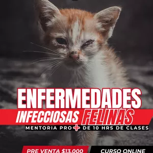 Imagen de portada para Ebook Enfermedades Infecciosas Felinas