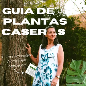 Imagen de portada para Curso online Guía de plantas caseras y acciones herbales
