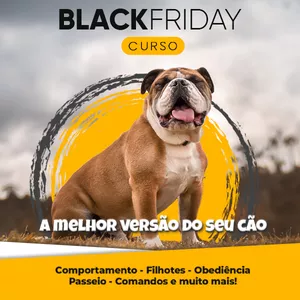 Imagem de capa para o Curso online A melhor versão do seu cão