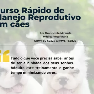 Imagem de capa para o Ebook Curso Rápido Manejo Reprodutivo em Cães