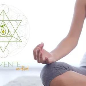 Imagen de portada para Curso online ALI-MENTE EN RED