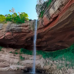 Imagen de portada para Curso online Paraiso🧡