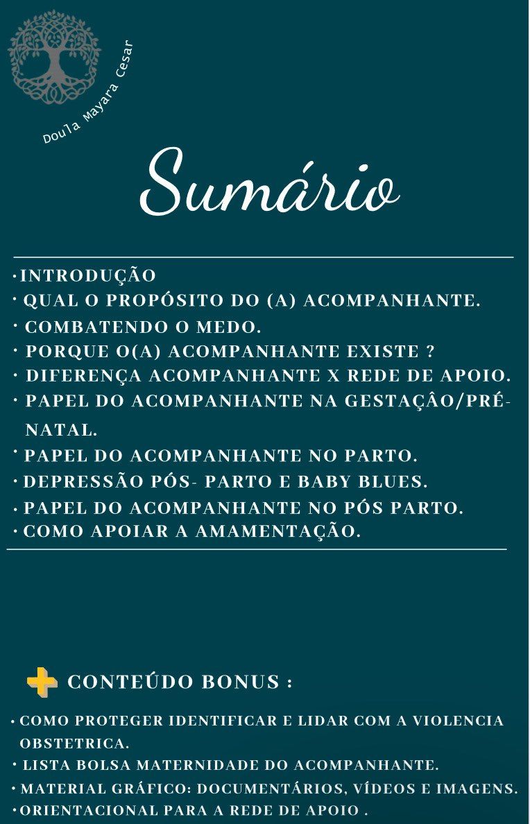 Guia Prático do Acompanhante: Um Manual Completo para Acompanhante Gestacional   — imagem 2