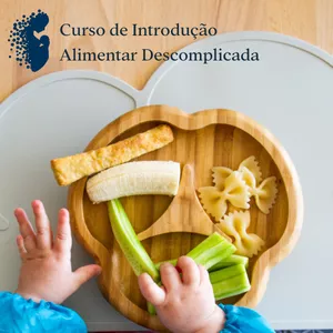 Imagem de capa para o Curso online Curso de Introdução Alimentar Descomplicada