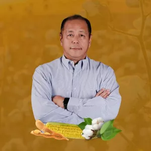 Imagem de capa para o Curso online Mestre do Algodão