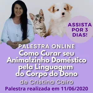 Imagem de capa para o Curso online Como Curar seu Animalzinho Doméstico pela Linguagem do Corpo do Dono