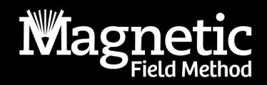 Magnetic Field Method's School logo