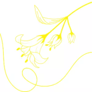 Imagem de capa para o Curso online Vida Afrodisíaca