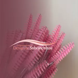 Imagem de capa para o Curso online Profissão - Desgner de Sobrancelhas