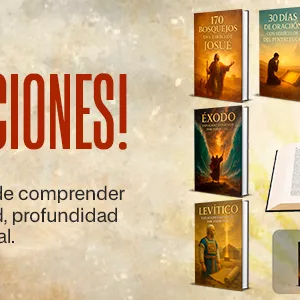 Imagem de capa para o Ebook Kit Ebooks Código Divino 