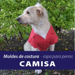Imagen de portada para Curso online Moldes / patrones para confección de ropa de perros - CAMISA