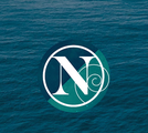 New Direction logo