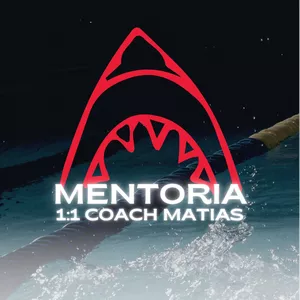 Imagen de portada para Curso online Mentoria 1:1 Coach Matias