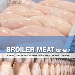 Cover image for Ebook Broiler Meat Signals (English edition) A practical guide to improving poultry meat quality