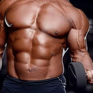 Imagem de capa para o Ebook Ficha de treino masculino