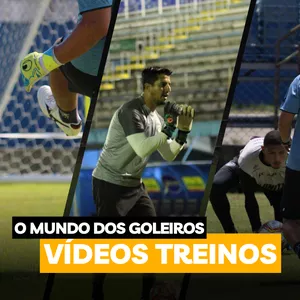 Imagem de capa para o Curso online O MUNDO DOS GOLEIROS - VÍDEOS TREINOS