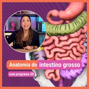 Imagem de capa para o Ebook Apostila ANATOMIA DO INTESTINO GROSSO. Material de Apoio aulas Youtube.