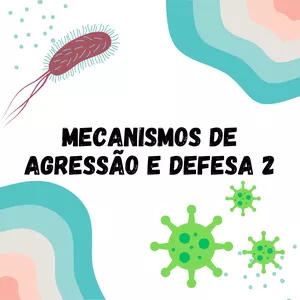 Imagem de capa para o Ebook Resumo MAD 2
