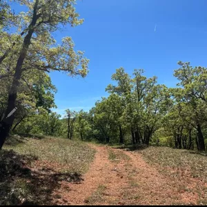 Imagen de portada para Curso online programa de "retiros volver a casa"