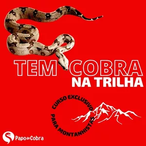 Imagem de capa para o Curso online Tem Cobra na Trilha
