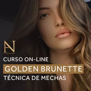Imagem de capa para o Curso online Técnica Golden Brunette de Mechas