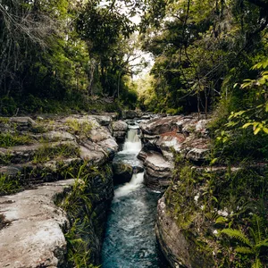 Imagem de capa para o Curso online Pack Maoli Essential 