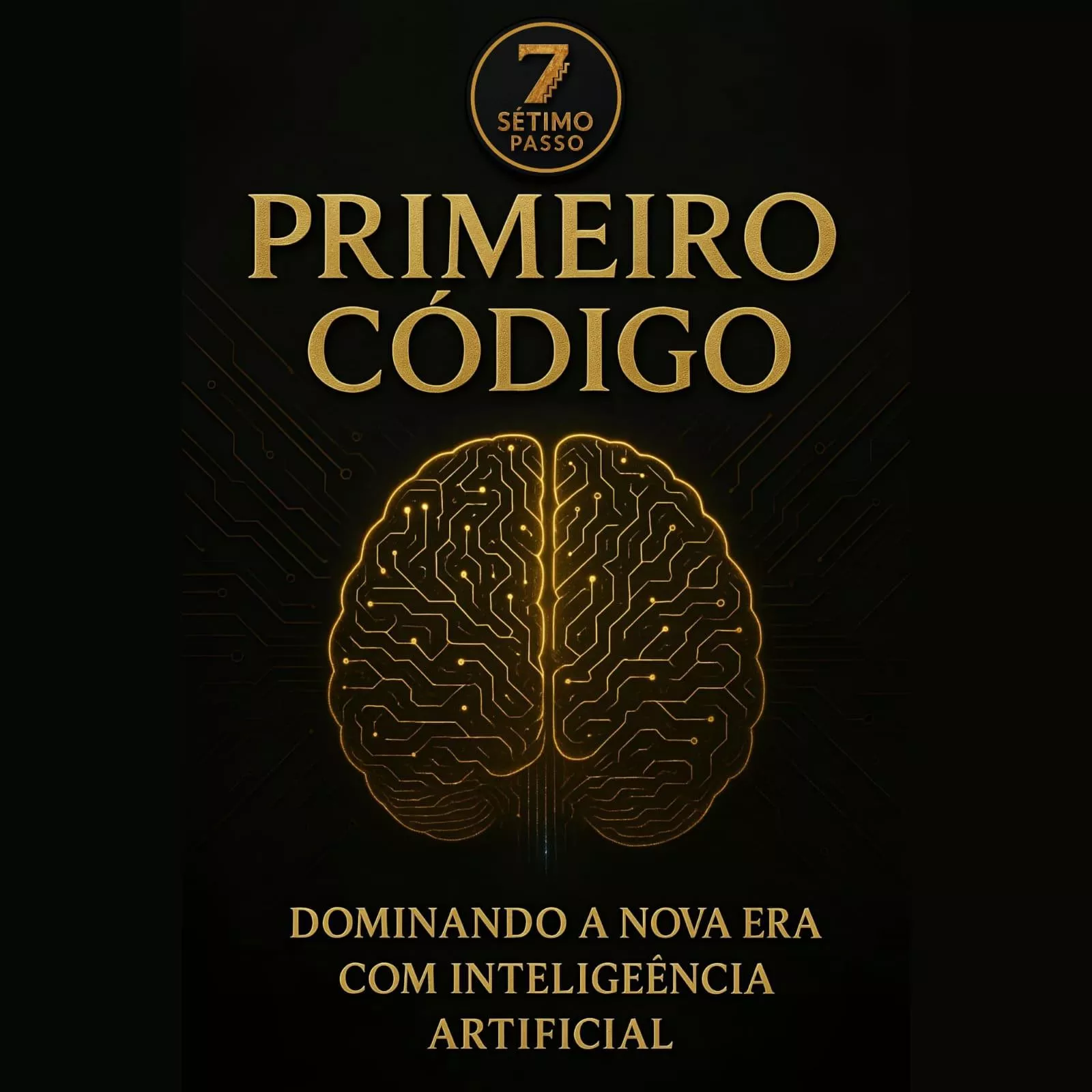 PLANO RAPIDO, TRANSFORME SUA VIDA EM 7 DIAS