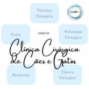 Imagem de capa para o Curso online Curso de Clínica Cirúrgica de Cães e Gatos