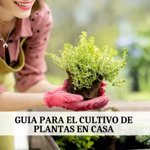Imagen de portada para Curso online Manual para Cultivar tus Propias Plantas Medicinales