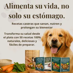Imagen de portada para Ebook Recetas que Sanan