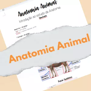 Imagem de capa para o Ebook Resumo de Anatomia Animal