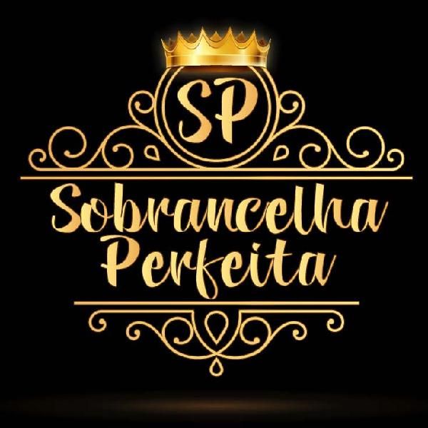 Imagem do curso Sobrancelha Perfeita 1.0