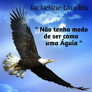 Imagem de capa para o Ebook  Não tenha medo de ser como uma Águia