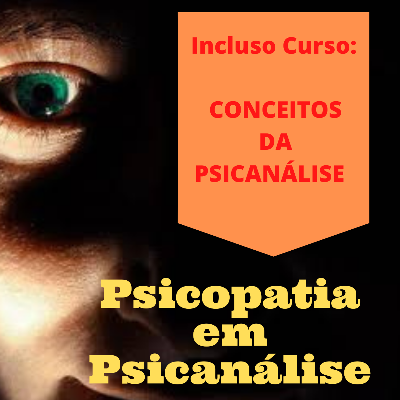 Imagem do curso Psicopatia em Psicanálise