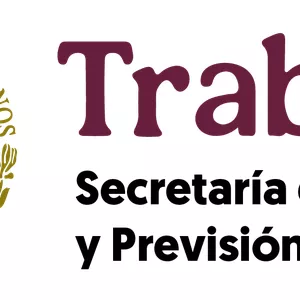 Imagen de portada para Curso online CURSO STPS 001