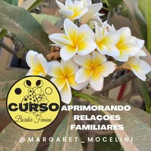 Imagem de capa para o Curso online Aprimorando Relações Familiares