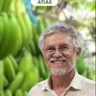 ANTôNIO LOPES SOUZA