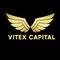 Vitex Academy 