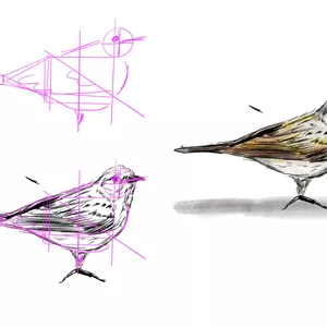 Imagen de portada para Curso online CURSO - Dibujo desde cero